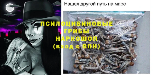 хмурый Богородск