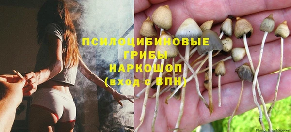 хмурый Богородск
