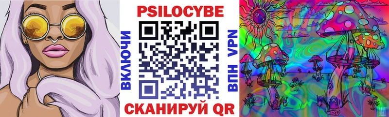 где найти наркотики  Шиханы  Псилоцибиновые грибы Psilocybine cubensis 